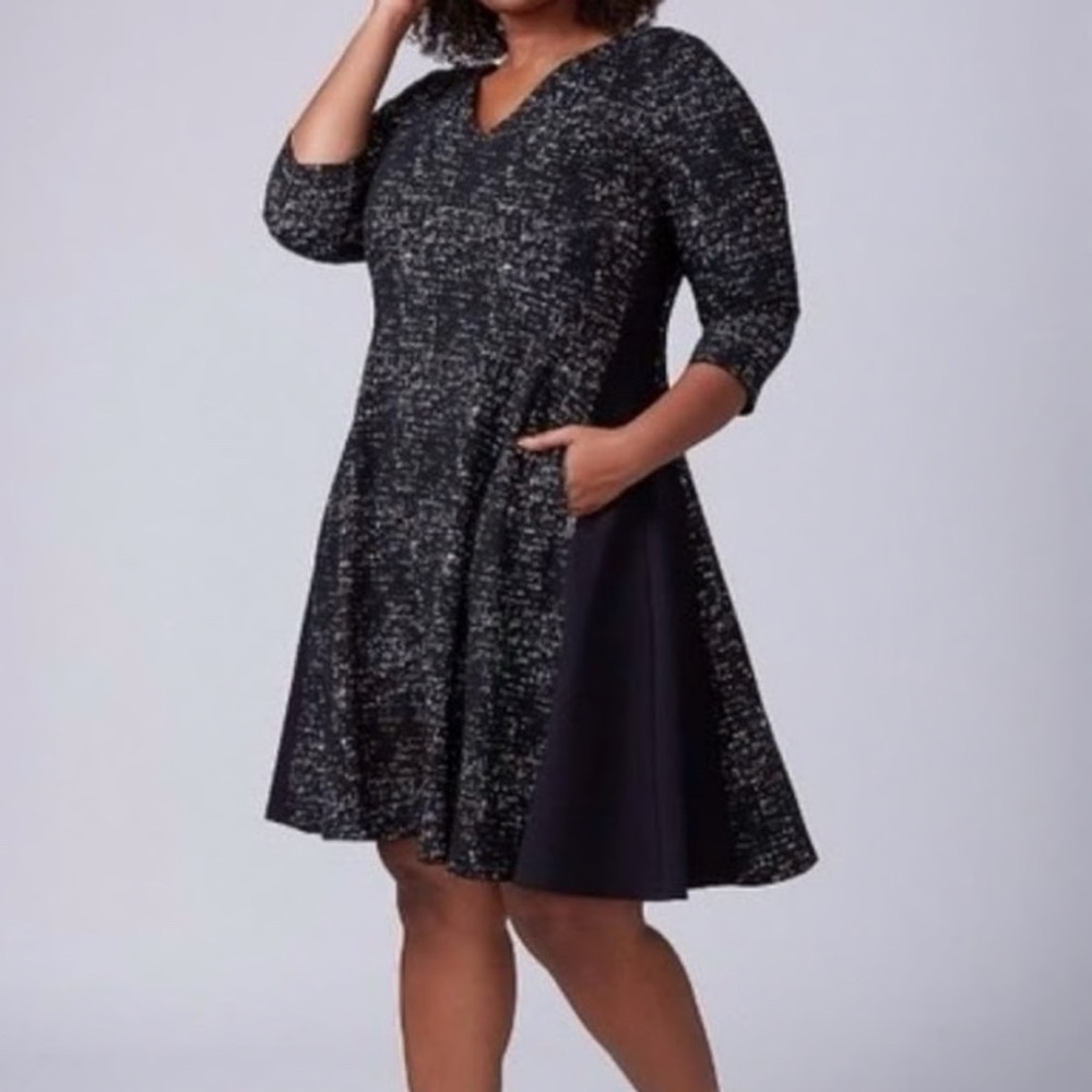 Lane Bryant Space Dye Paneled Dress